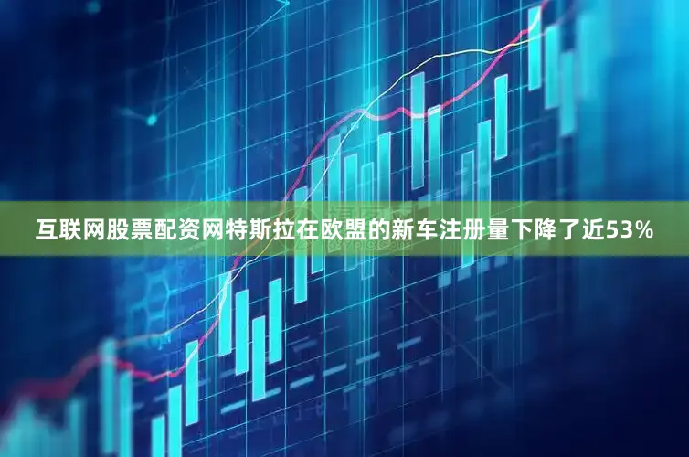 互联网股票配资网特斯拉在欧盟的新车注册量下降了近53%