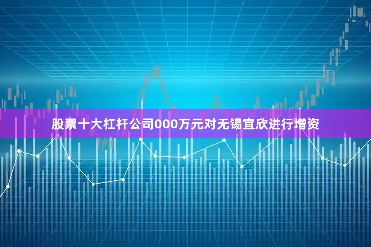 股票十大杠杆公司000万元对无锡宜欣进行增资