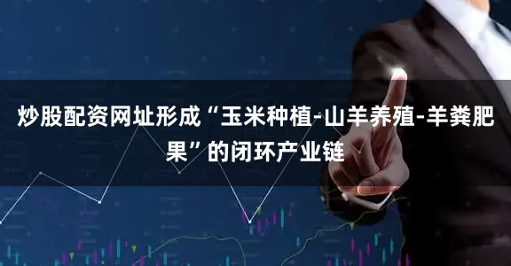 炒股配资网址形成“玉米种植-山羊养殖-羊粪肥果”的闭环产业链