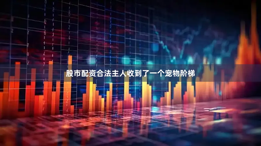 股市配资合法主人收到了一个宠物阶梯