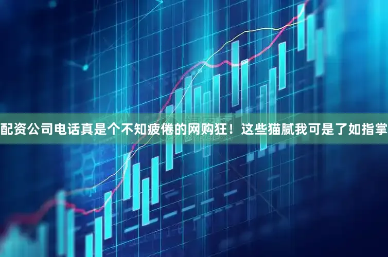 配资公司电话真是个不知疲倦的网购狂！这些猫腻我可是了如指掌