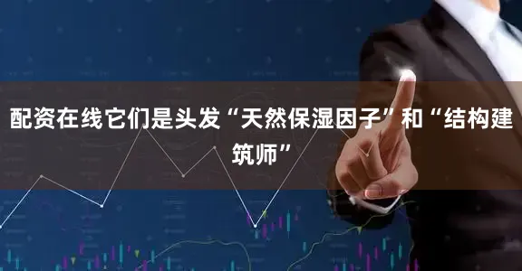 配资在线它们是头发“天然保湿因子”和“结构建筑师”