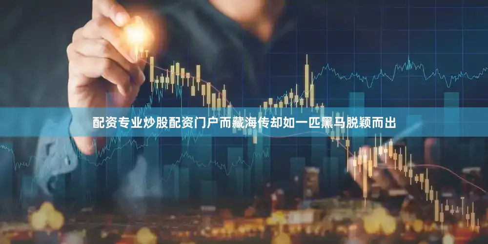 配资专业炒股配资门户而藏海传却如一匹黑马脱颖而出