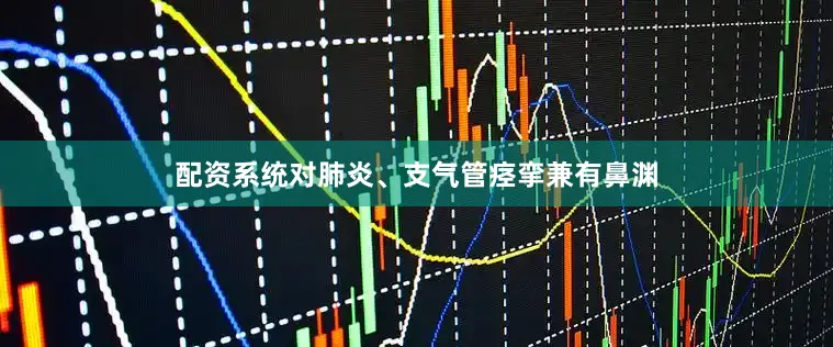 配资系统对肺炎、支气管痉挛兼有鼻渊